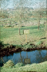 0002254_FourCorners_Photograph_WilfThust_HarryThorpe_ResearchOnAllotmentsInBirminghamSetupByProfessorThorpe_1975_Photo58.jpg