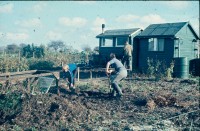 0002210_FourCorners_Photograph_WilfThust_HarryThorpe_ResearchOnAllotmentsInBirminghamSetupByProfessorThorpe_1975_Photo14.jpg