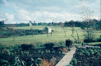 0002204_FourCorners_Photograph_WilfThust_HarryThorpe_ResearchOnAllotmentsInBirminghamSetupByProfessorThorpe_1975_Photo08.jpg