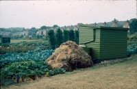 0002252_FourCorners_Photograph_WilfThust_HarryThorpe_ResearchOnAllotmentsInBirminghamSetupByProfessorThorpe_1975_Photo56.jpg