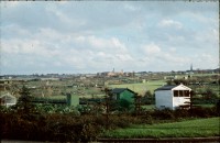 0002255_FourCorners_Photograph_WilfThust_HarryThorpe_ResearchOnAllotmentsInBirminghamSetupByProfessorThorpe_1975_Photo59.jpg