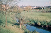 0002260_FourCorners_Photograph_WilfThust_HarryThorpe_ResearchOnAllotmentsInBirminghamSetupByProfessorThorpe_1975_Photo64.jpg