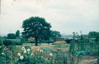 0002201_FourCorners_Photograph_WilfThust_HarryThorpe_ResearchOnAllotmentsInBirminghamSetupByProfessorThorpe_1975_Photo05.jpg