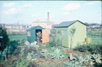 0002239_FourCorners_Photograph_WilfThust_HarryThorpe_ResearchOnAllotmentsInBirminghamSetupByProfessorThorpe_1975_Photo43.jpg