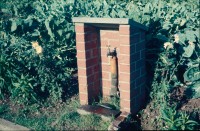 0002218_FourCorners_Photograph_WilfThust_HarryThorpe_ResearchOnAllotmentsInBirminghamSetupByProfessorThorpe_1975_Photo22.jpg