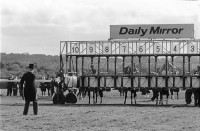 0003719_Photograph_EdBaxter_DerbyDay_1973_EDIT_Photo21.jpg