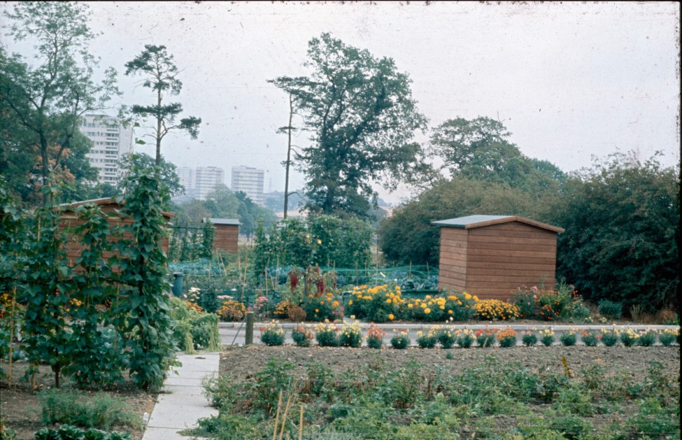 0002259_FourCorners_Photograph_WilfThust_HarryThorpe_ResearchOnAllotmentsInBirminghamSetupByProfessorThorpe_1975_Photo63.jpg