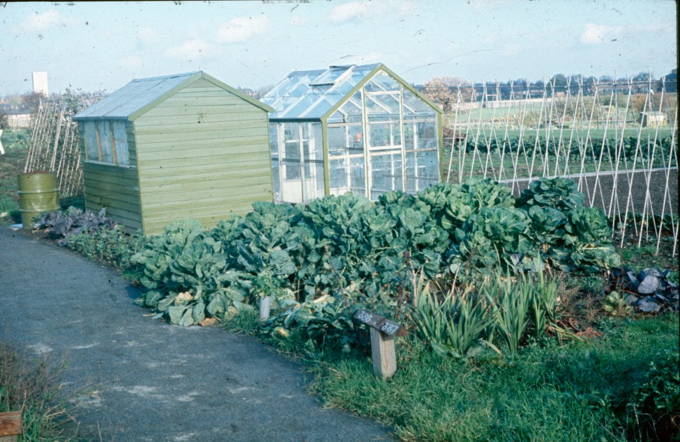 0002241_FourCorners_Photograph_WilfThust_HarryThorpe_ResearchOnAllotmentsInBirminghamSetupByProfessorThorpe_1975_Photo45.jpg