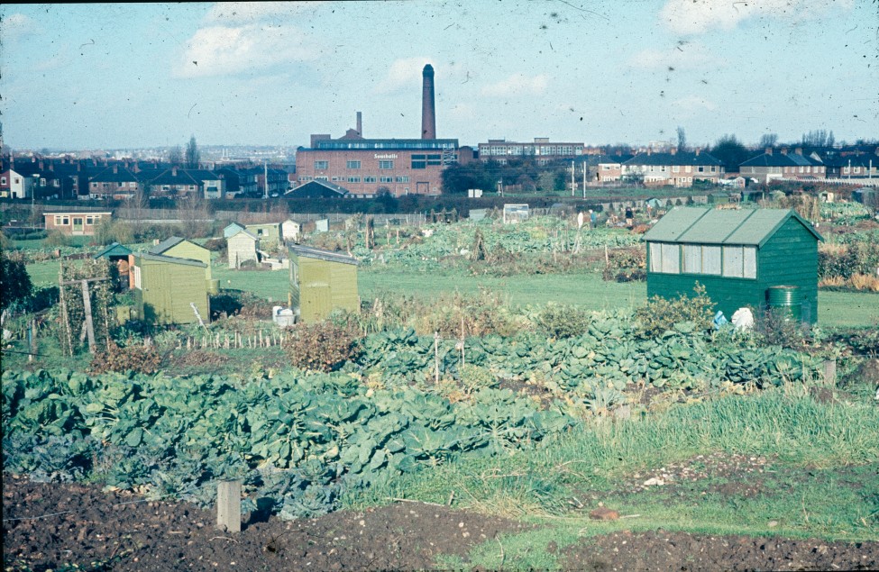 0002206_FourCorners_Photograph_WilfThust_HarryThorpe_ResearchOnAllotmentsInBirminghamSetupByProfessorThorpe_1975_Photo10.jpg