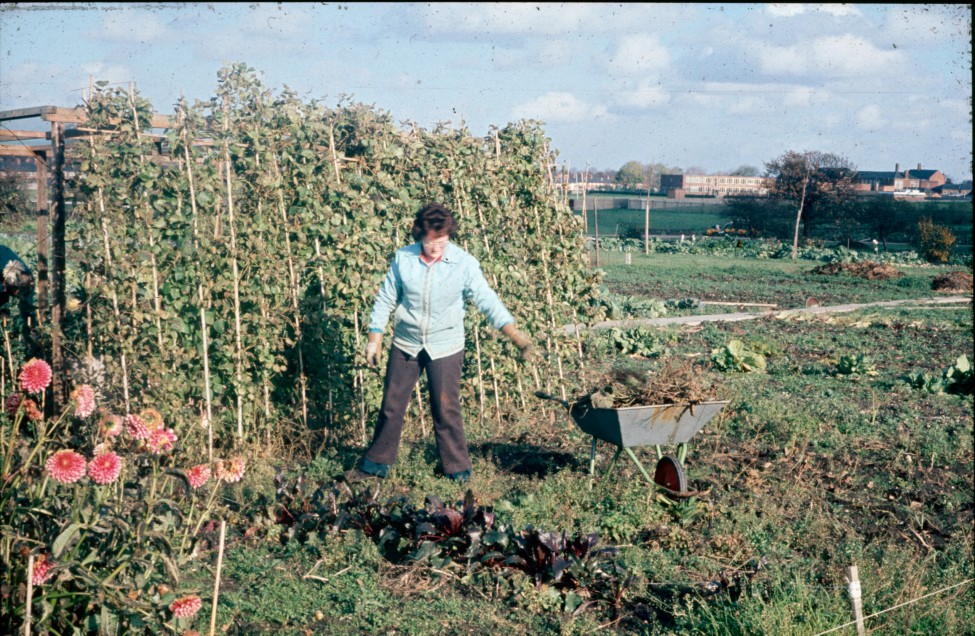 0002261_FourCorners_Photograph_WilfThust_HarryThorpe_ResearchOnAllotmentsInBirminghamSetupByProfessorThorpe_1975_Photo65.jpg