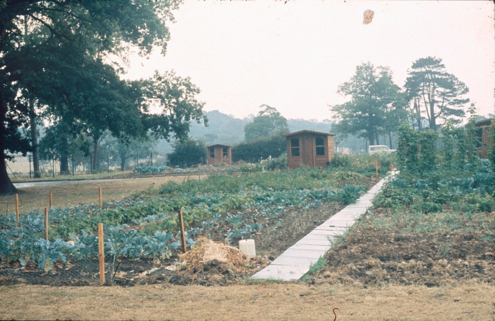 0002235_FourCorners_Photograph_WilfThust_HarryThorpe_ResearchOnAllotmentsInBirminghamSetupByProfessorThorpe_1975_Photo39.jpg