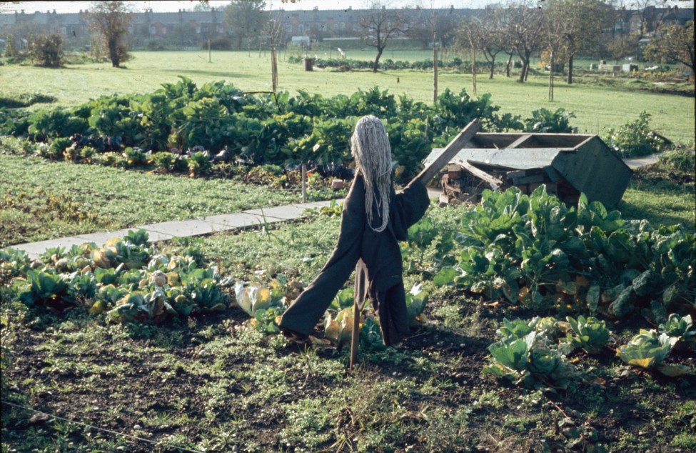 0002247_FourCorners_Photograph_WilfThust_HarryThorpe_ResearchOnAllotmentsInBirminghamSetupByProfessorThorpe_1975_Photo51.jpg