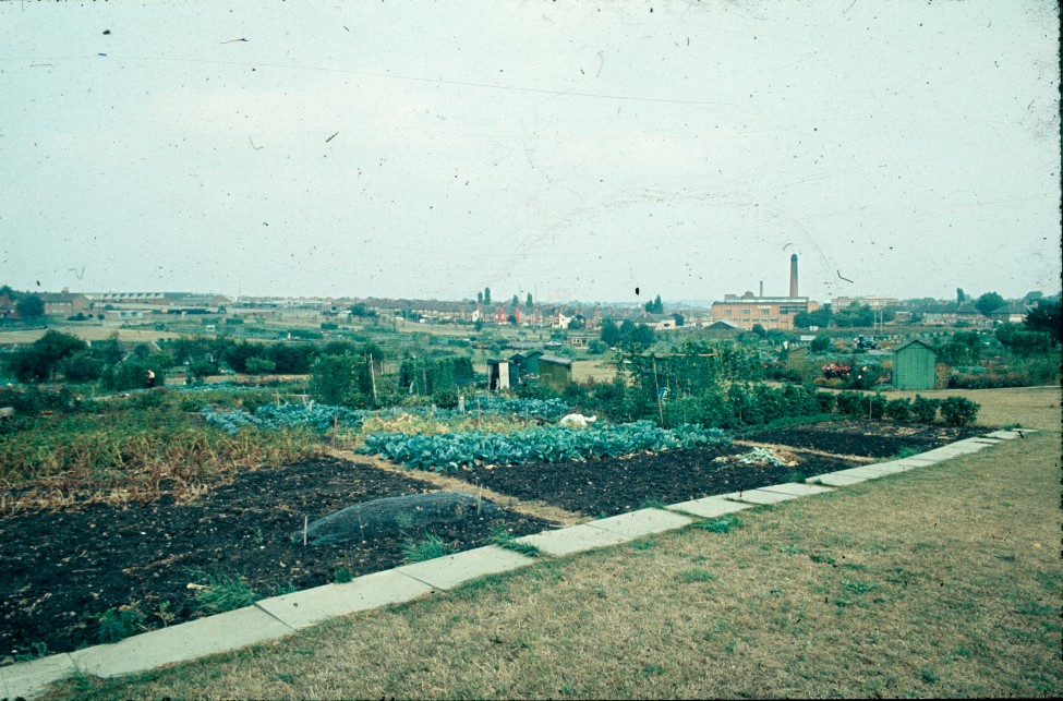 0002200_FourCorners_Photograph_WilfThust_HarryThorpe_ResearchOnAllotmentsInBirminghamSetupByProfessorThorpe_1975_Photo04.jpg