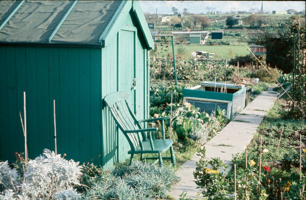 0002240_FourCorners_Photograph_WilfThust_HarryThorpe_ResearchOnAllotmentsInBirminghamSetupByProfessorThorpe_1975_Photo44