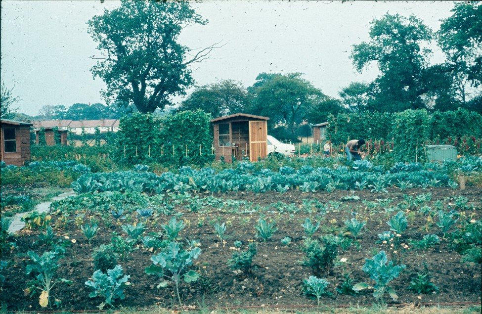 0002207_FourCorners_Photograph_WilfThust_HarryThorpe_ResearchOnAllotmentsInBirminghamSetupByProfessorThorpe_1975_Photo11.jpg