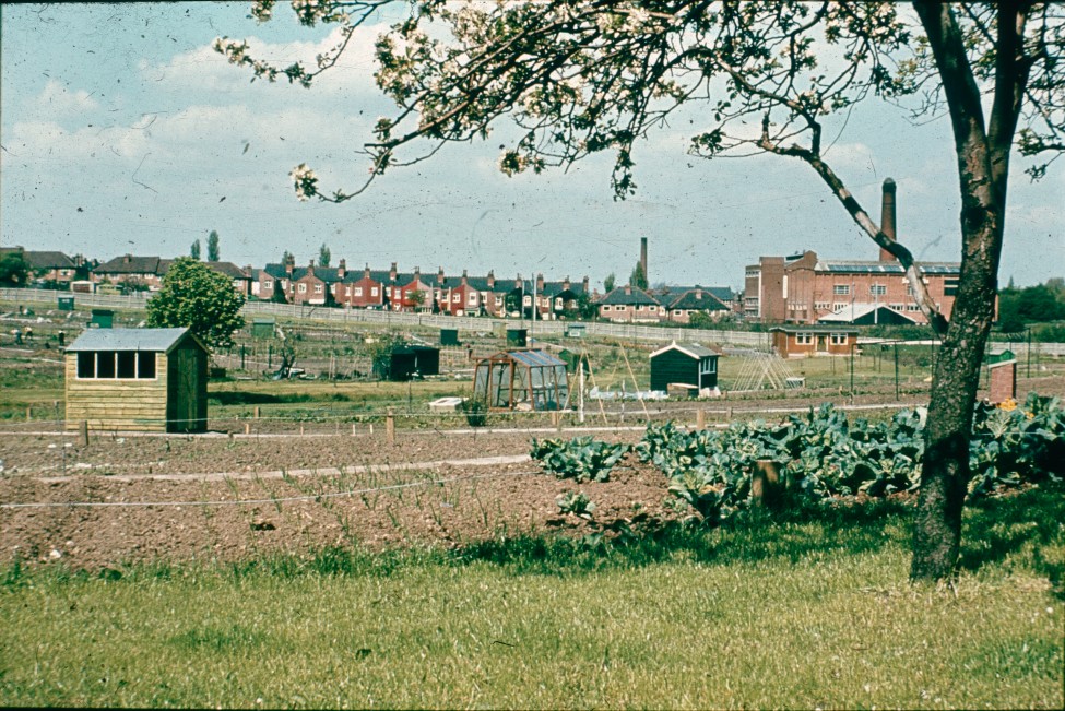 0002205_FourCorners_Photograph_WilfThust_HarryThorpe_ResearchOnAllotmentsInBirminghamSetupByProfessorThorpe_1975_Photo09